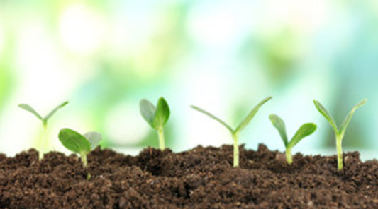 Tips on Naturally Increasing Fertility While Using Fertil Pro for Men