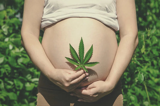 The Link between Marijuana and Fertility