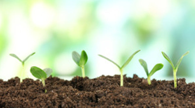 Tips on Naturally Increasing Fertility While Using Fertil Pro for Men