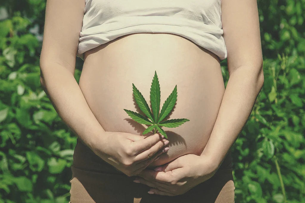 The Link between Marijuana and Fertility