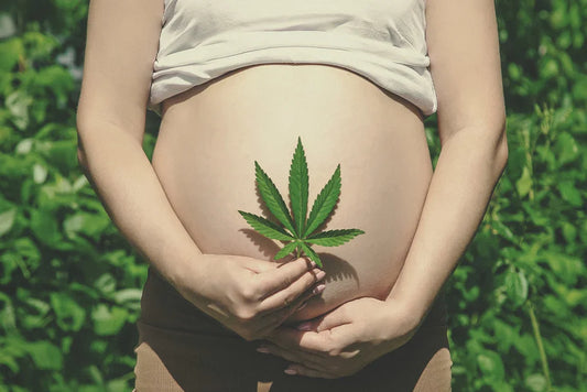The Link between Marijuana and Fertility