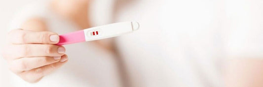 Understanding Fertility